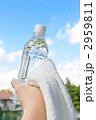 2959811