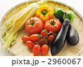 夏野菜　横
