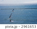 ウィンドサーフィン