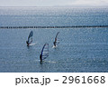 ウィンドサーフィン