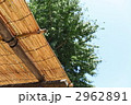 ヨシズと夏の日差し