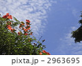 2963695