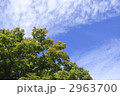 2963700