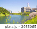 皇居周辺の春