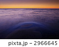 2966645