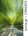 2966805