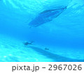 2967026