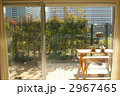 部屋からのながめ