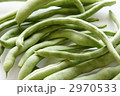 インゲン