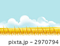 2970794