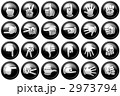 2973794