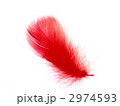2974593