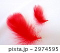 2974595