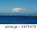名島（菜島）の鳥居