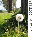 2975487