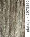 2975860