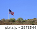 2978544