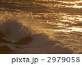 2979058