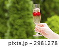 かんぱーい
