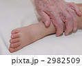 2982509