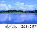 堺市大泉緑地公園の池