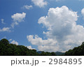2984895