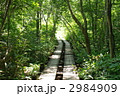 2984909