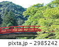 赤い橋のある風景