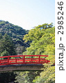 赤い橋のある風景