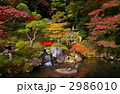 修禅寺の庭園