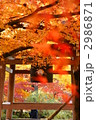 紅葉と鐘