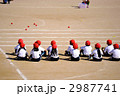 運動会　玉入れ