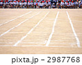 運動会のグランド