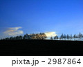丘に並んだ木々