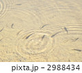 メダカが造る波紋