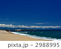 高知県桂浜