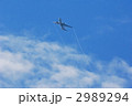 ベイパー