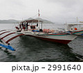 海を渡る豚