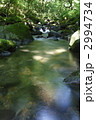 沢の水