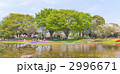 昭和記念公園の春