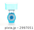 ヘルシースケール