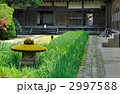 鶴岡散歩・庄内藩校　致道館　中庭