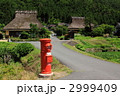 初夏の美山茅葺の里