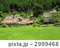 初夏の京都美山茅葺の里