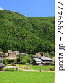 初夏の美山茅葺の里