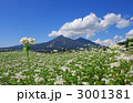 磐梯山と蕎麦畑