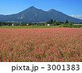 磐梯山と蕎麦畑