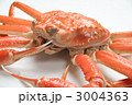 ズワイガニのメス
