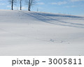 3005811
