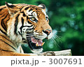 3007691